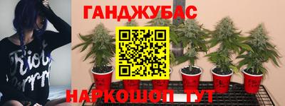 мяу мяу мука Кумертау
