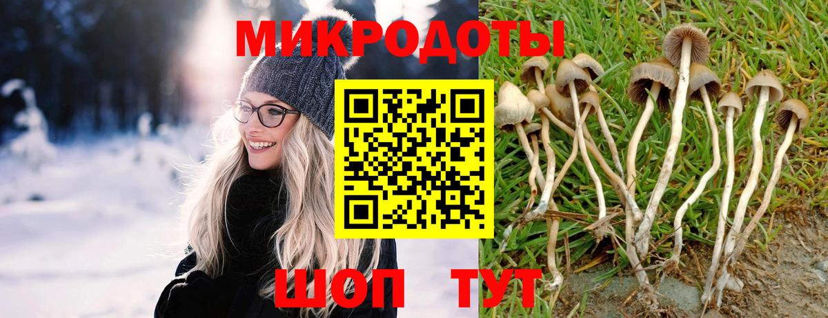 Дзержинск  Псилоцибиновые грибы GOLDEN TEACHER  Вход с VPN 